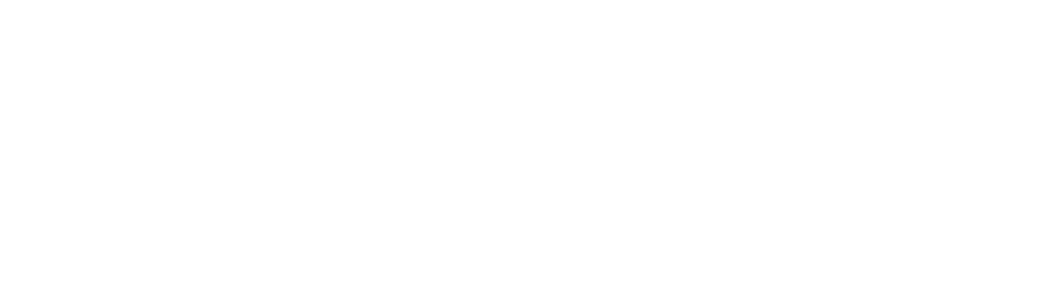 logo camara lanzarote blanco